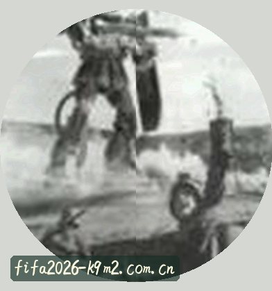 陈宇